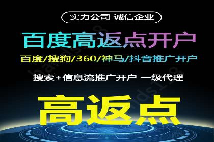 百度搜索推广实战经验：经典案例启示录