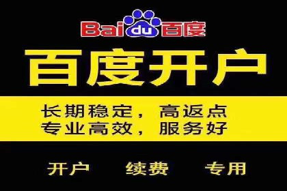 百度网络推广实战技巧：案例解析，让广告投放更精准